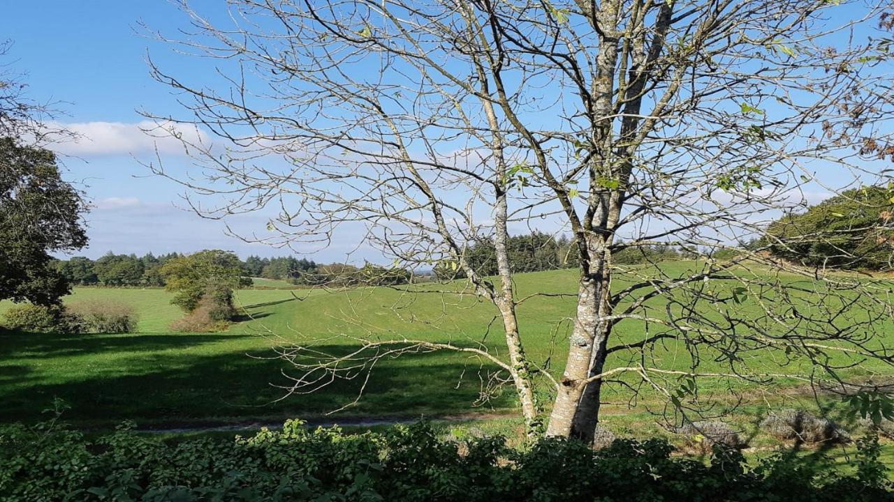L'Ancien Presbytere Lescouet-Gouarec Buitenkant foto